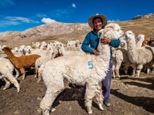 Cochama Yava, member of COOPECAN, with his herd